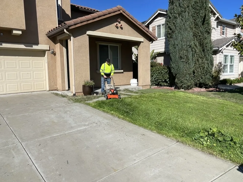 Local yard cleanup service in La Grange, CA by Valley Custom Lawn Services
