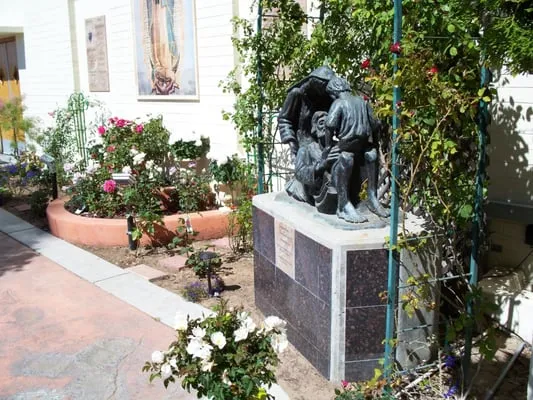 Valley Dove Landscaping Logo