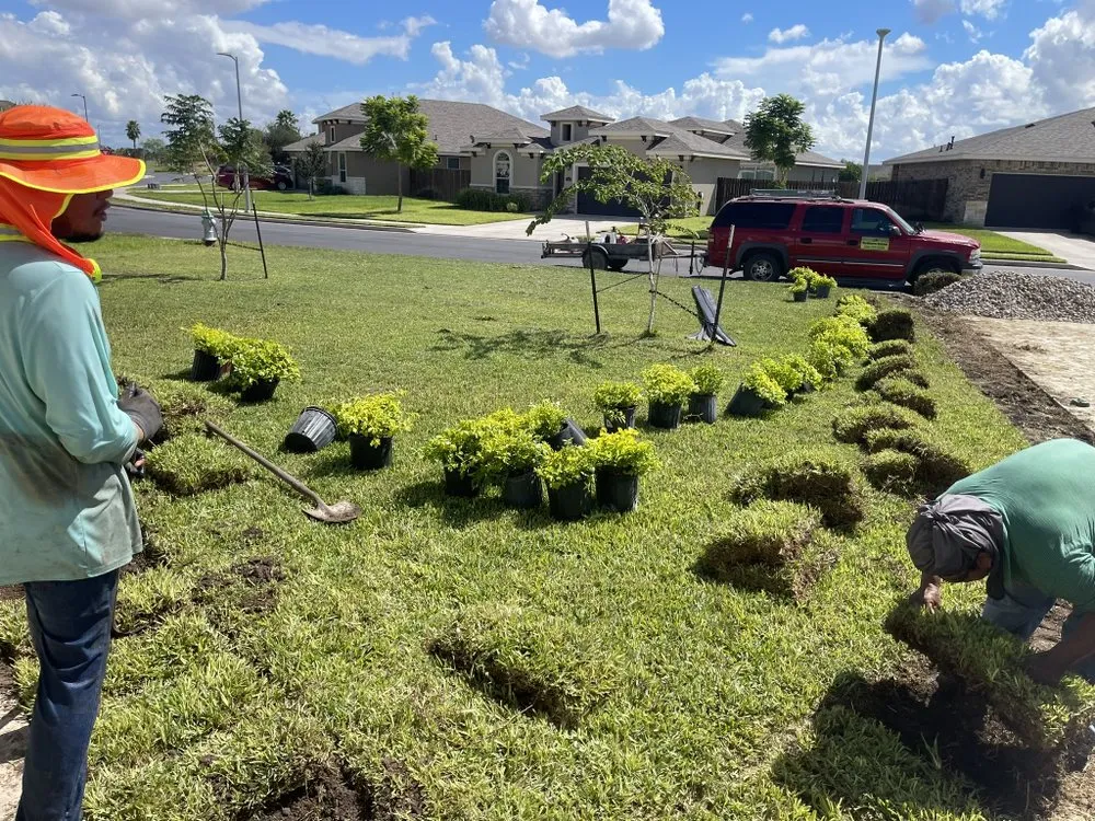Expert residential landscaping in Alton, TX by Valley Fence & Landscaping