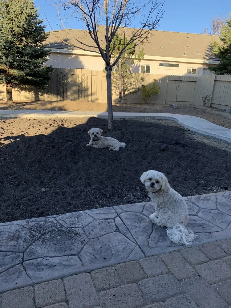 Custom residential landscaping near you in Sun Valley, NV by Valley Flores Yard & Maintenance