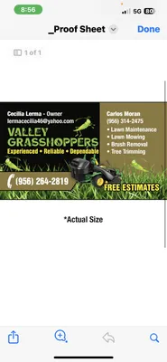 Valley Grass Hoppers