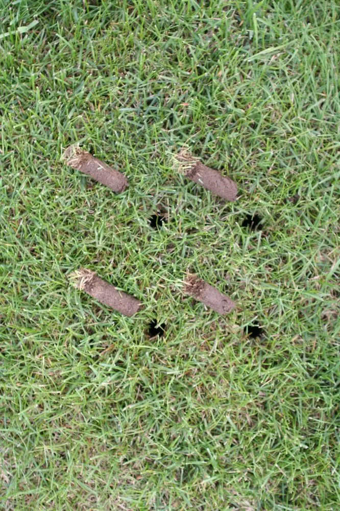 Professional lawn mowing service in Sauk Rapids, MN - Valley Green Companies