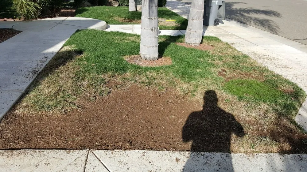 Affordable garden landscaping in Fresno, CA by Valley Green Solutions