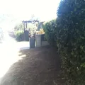 Local landscape installation in Lemongrove, CA by Valley Grove Landscape