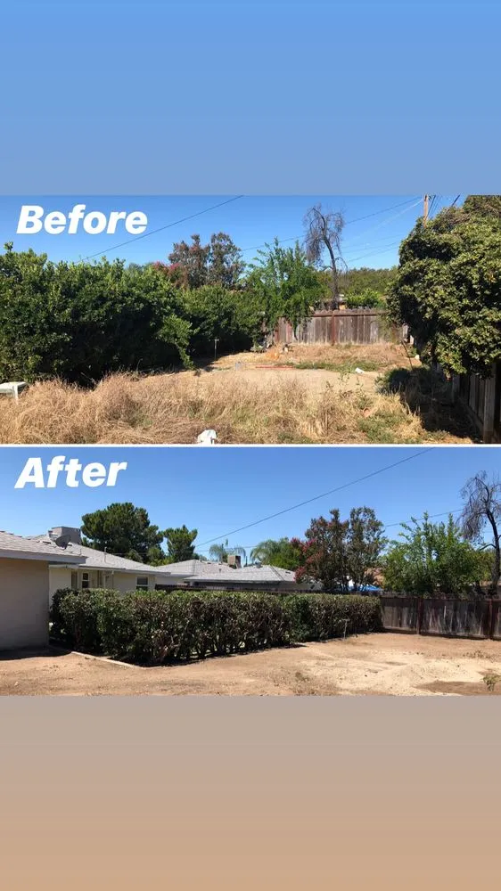 Affordable landscaping services for year-round maintenance across Fresno, CA - Valley Haul