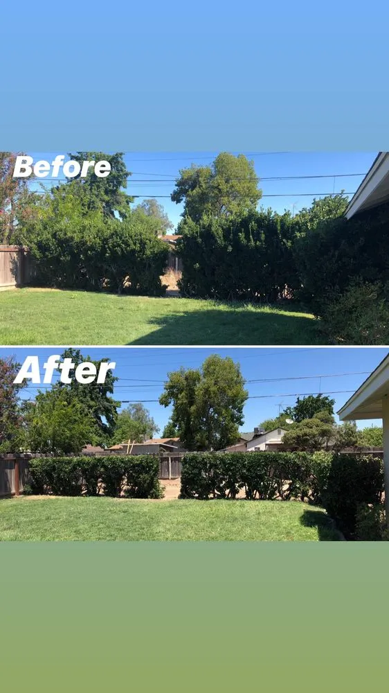 Custom yard cleanup service in Fresno, CA by Valley Haul