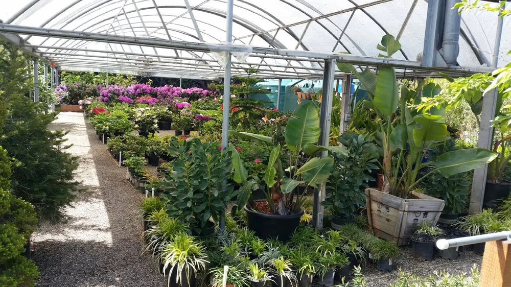 Expert landscape installation in Carmel, CA - Valley Hills Nursery