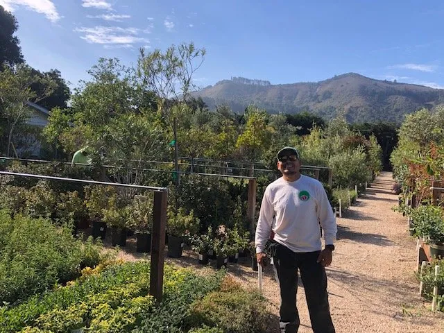 Reliable landscaping services in Carmel, CA by Valley Hills Nursery
