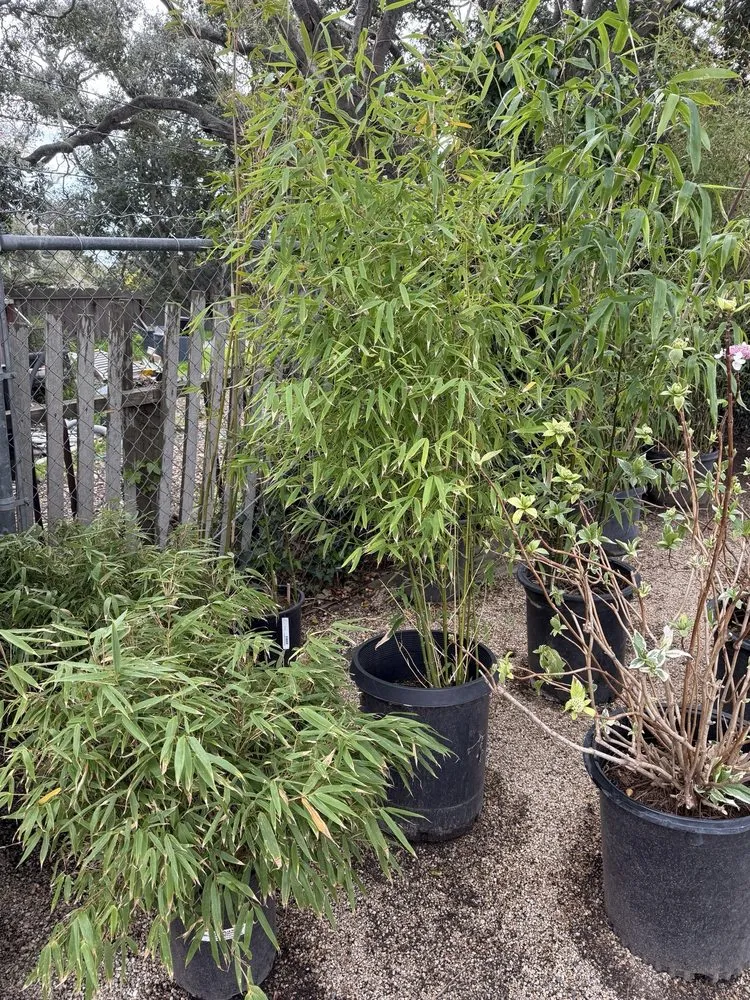 Professional landscaping services in Carmel, CA by Valley Hills Nursery