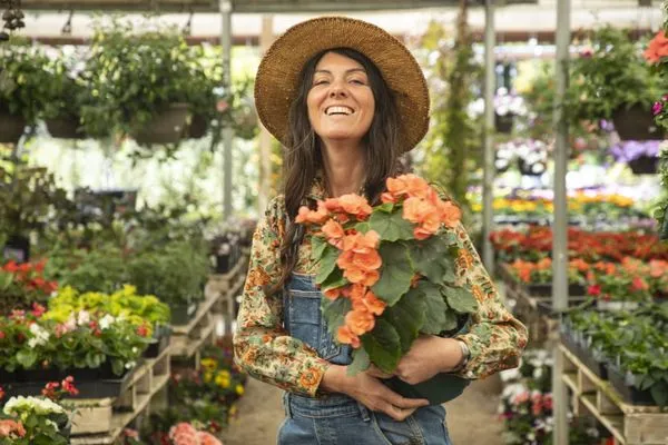 Valley Hills Nursery