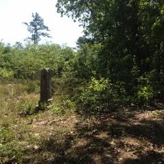 Professional landscape installation experts serving Fayetteville, NC - Valley Home and Lawn Care