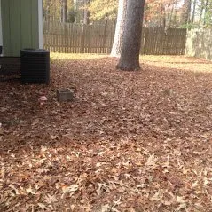 Affordable lawn care service for year-round maintenance across Fayetteville, NC - Valley Home and Lawn Care