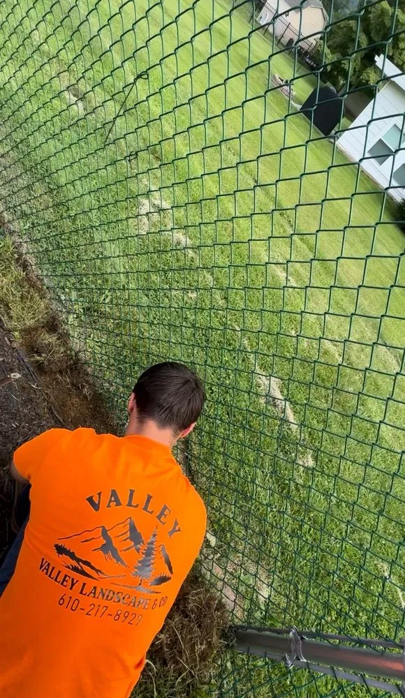 Reliable yard cleanup service near you across Easton, PA - Valley Landscape