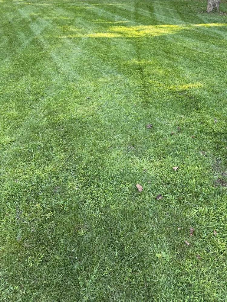 Local lawn mowing service near you across Easton, PA - Valley Landscape