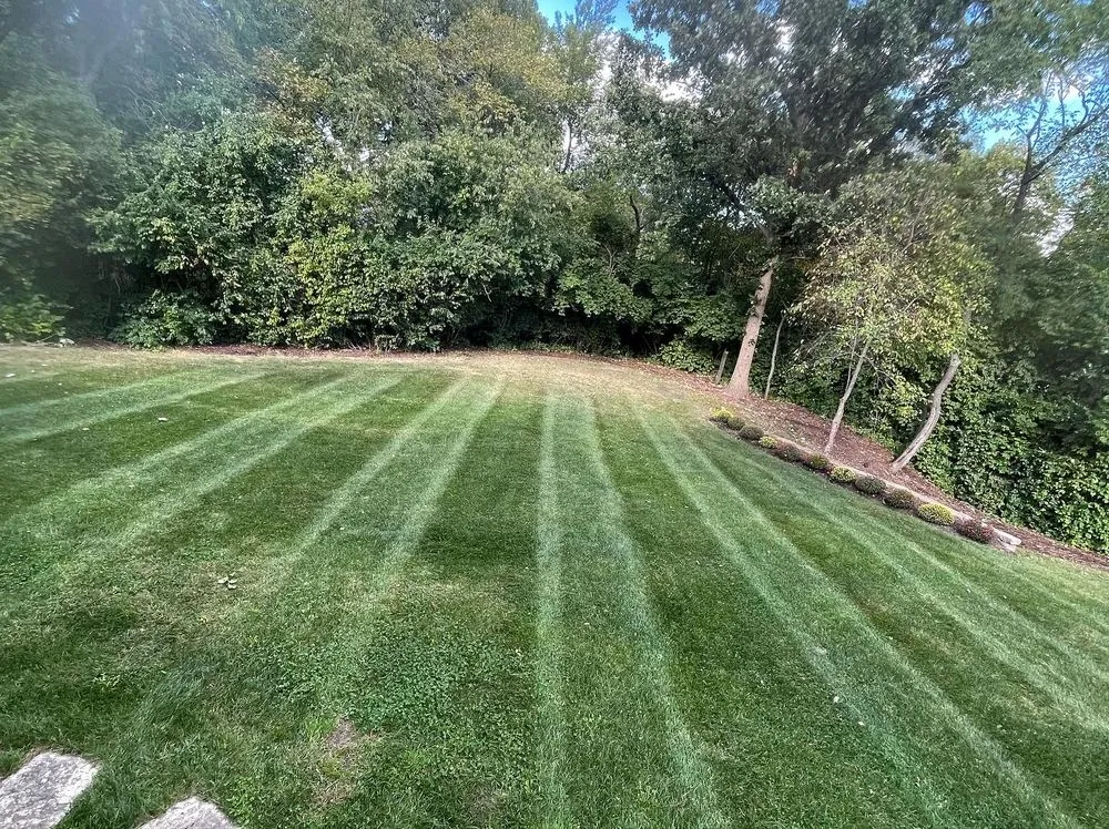 Trusted landscaping services with custom design in Shorewood, IL by Valley Landscape Management