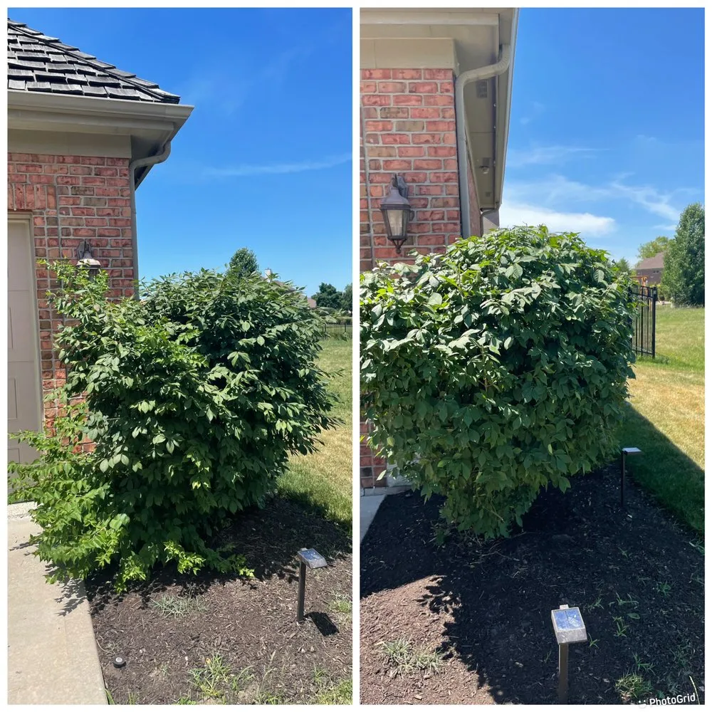 Professional residential landscaping for outdoor upgrades in Shorewood, IL by Valley Landscape Management