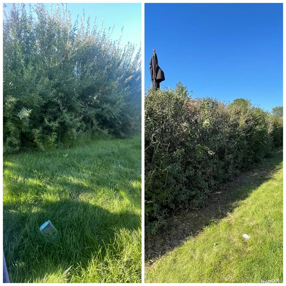 Professional landscaping services for outdoor upgrades in Shorewood, IL by Valley Landscape Management