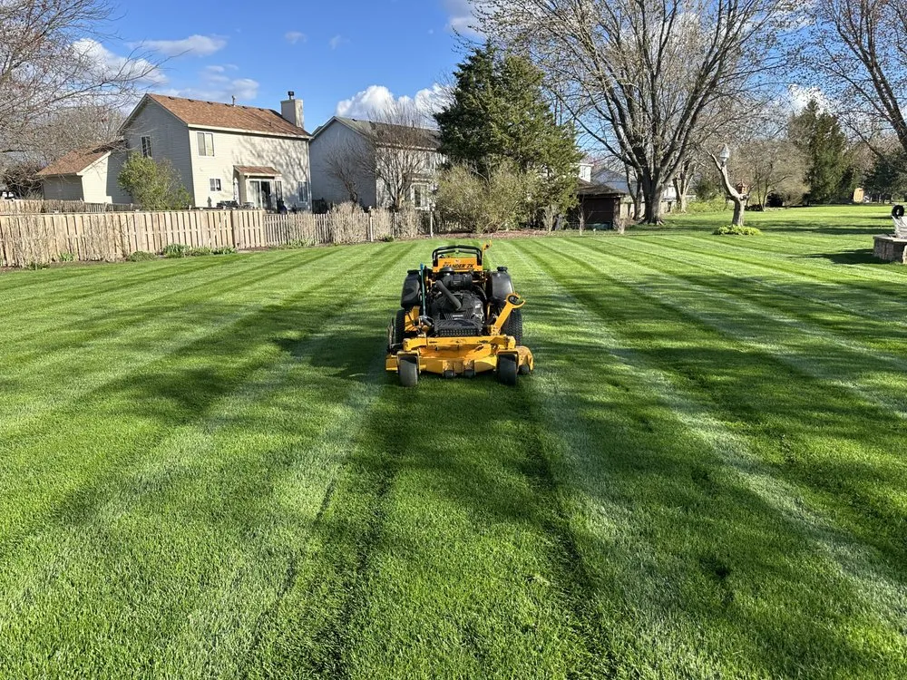 Affordable yard cleanup service for residential properties in Shorewood, IL by Valley Landscape Management