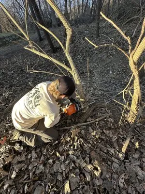 Valley Landscape Management