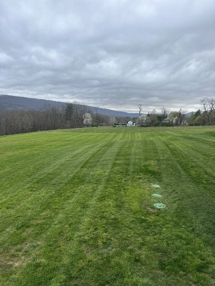 Trusted yard maintenance in Sugarloaf, PA - Valley Landscape Solutions