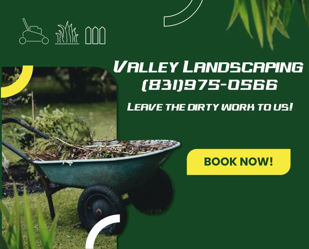 Reliable yard cleanup service in Salinas, CA - Valley Landscaping
