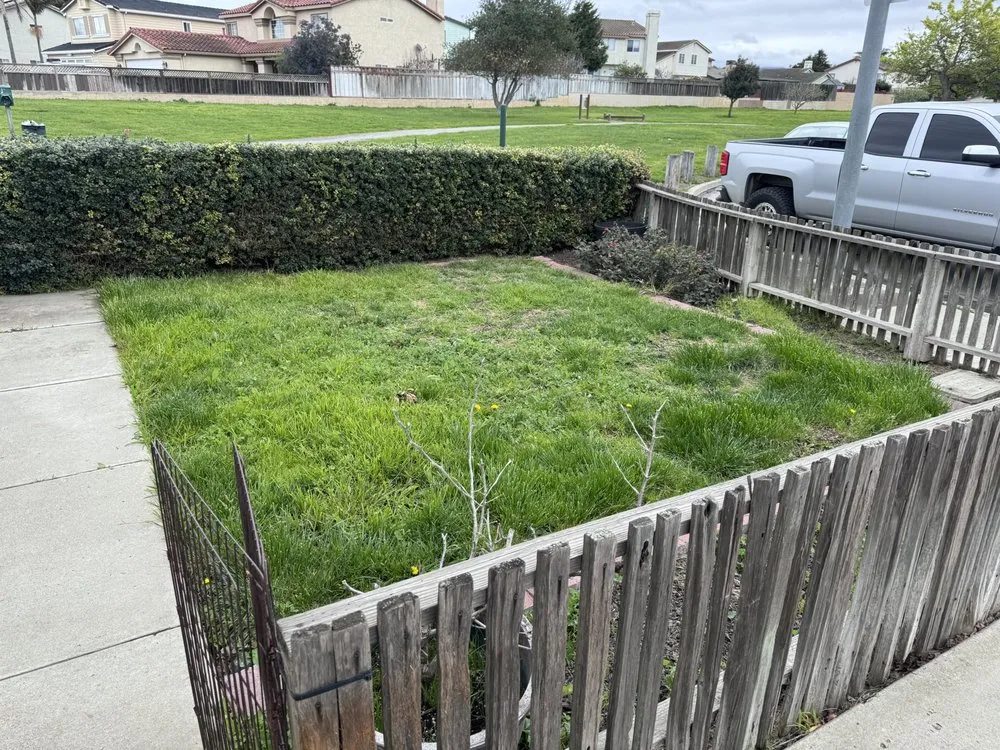 Local yard cleanup service in Salinas, CA - Valley Landscaping