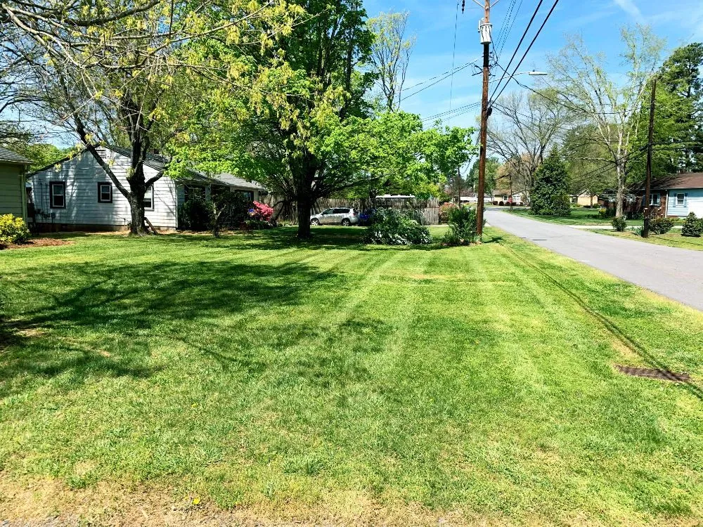 Trusted yard cleanup service for outdoor upgrades across Statesville, NC - Valley Landscaping