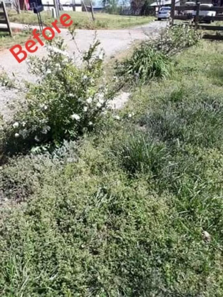 Top-rated lawn mowing service in Statesville, NC - Valley Landscaping