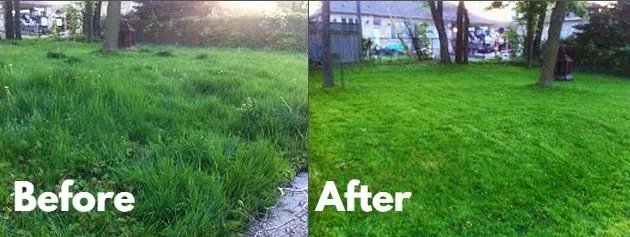 Expert yard cleanup service with custom design in Valparaiso, IN by Valley Landscaping