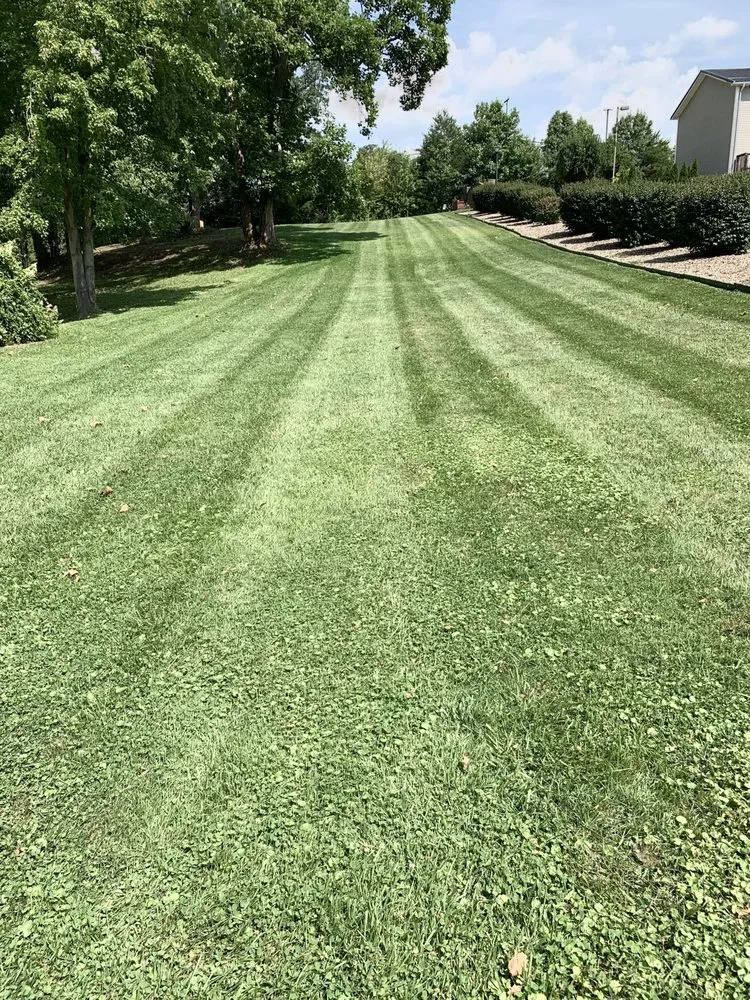 Top-rated outdoor landscaping in Hurricane, WV by Valley Lawn and Landscaping