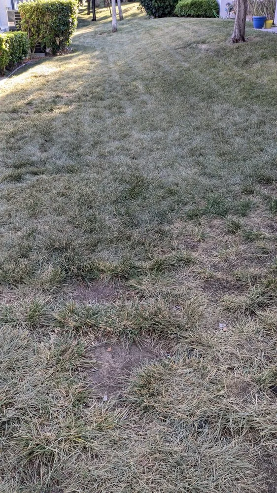 Top-rated landscaping services experts serving Las Vegas, NV - Valley Lawn Care