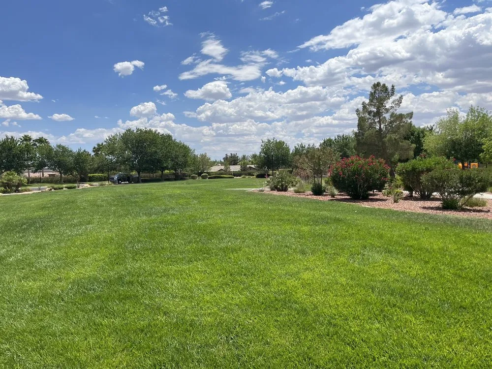 Custom garden landscaping near you in Las Vegas, NV by Valley Lawn Care