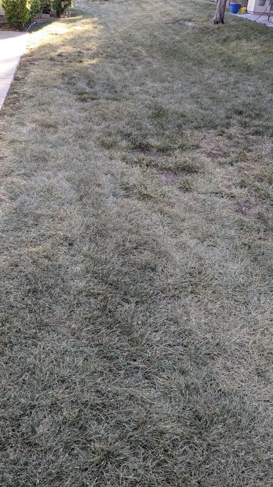 Top-rated garden landscaping experts serving Las Vegas, NV - Valley Lawn Care