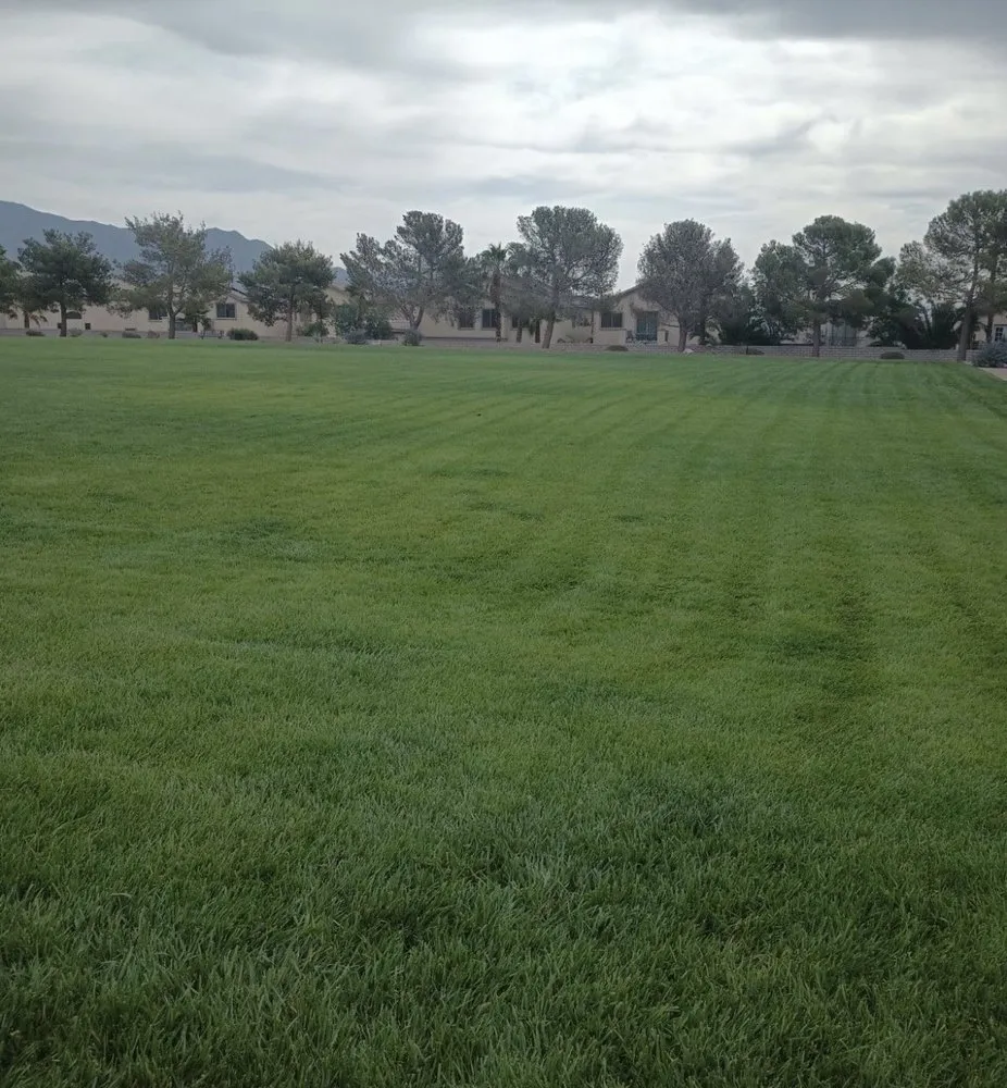 Trusted landscape installation near you across Las Vegas, NV - Valley Lawn Care