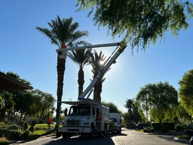 Trusted outdoor landscaping for beautiful yards in Las Vegas, NV by Valley Lawn Care