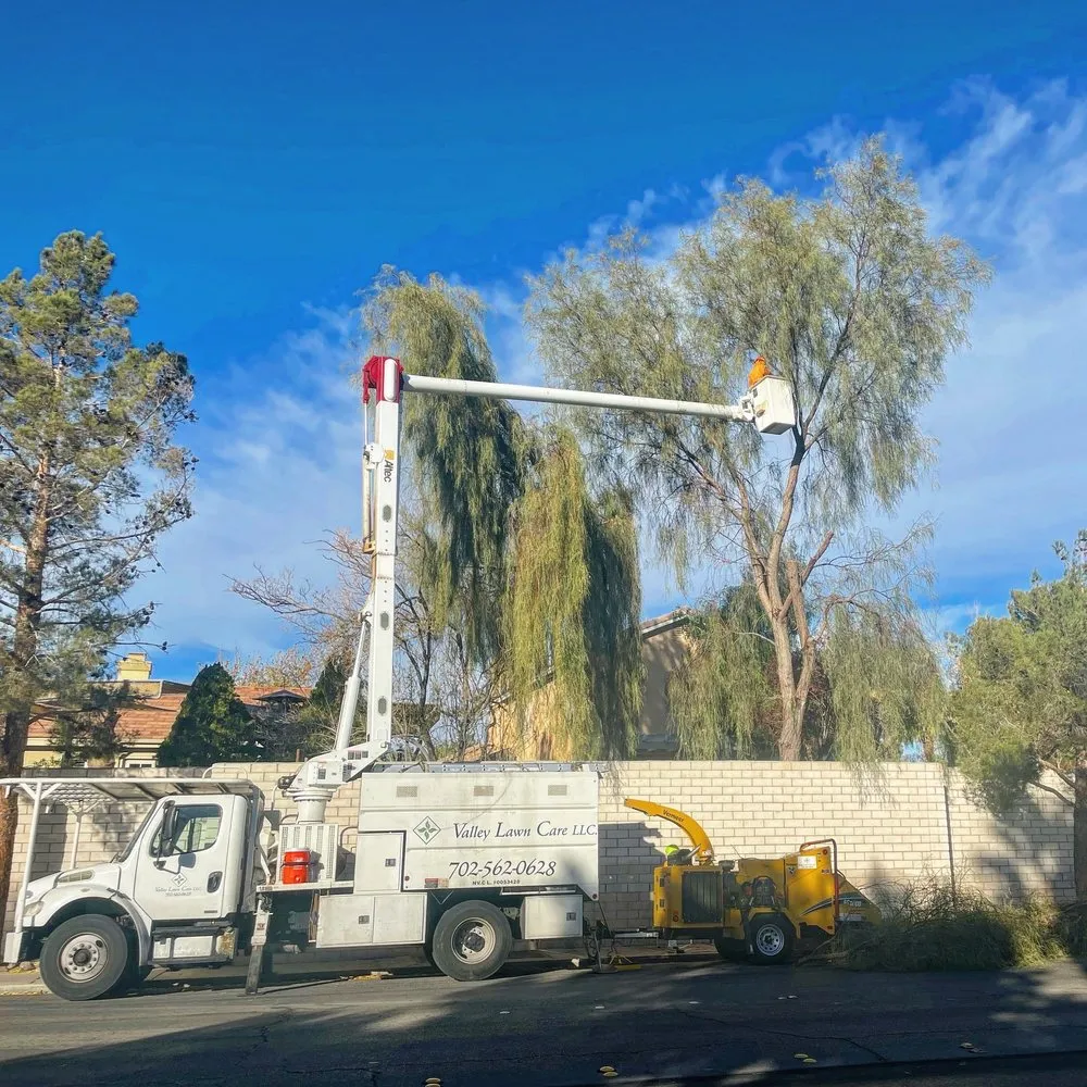 Top-rated residential landscaping with custom design in Las Vegas, NV by Valley Lawn Care