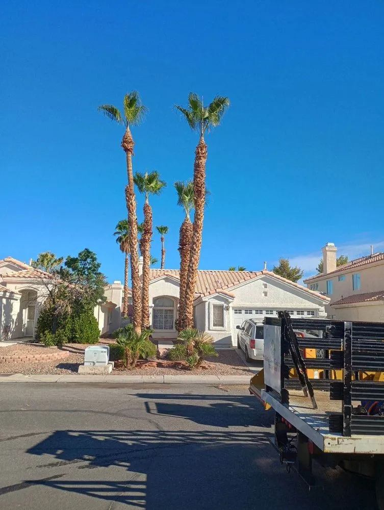 Trusted residential landscaping in Las Vegas, NV by Valley Lawn Care
