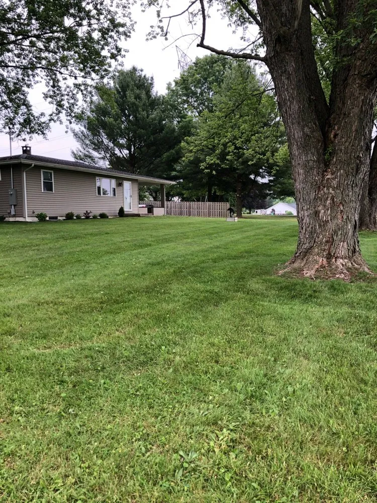 Local yard cleanup service for outdoor upgrades in Strasburg, OH by Valley Lawn Care