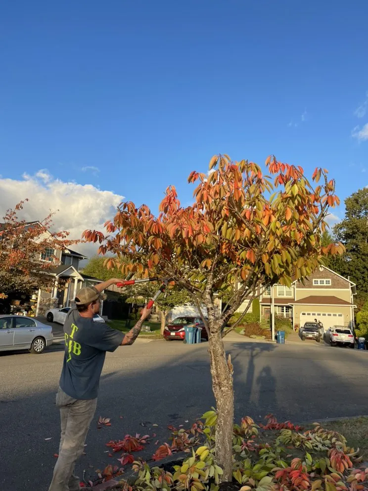 Professional yard cleanup service in Snohomish, WA by Valley Lawn Pros