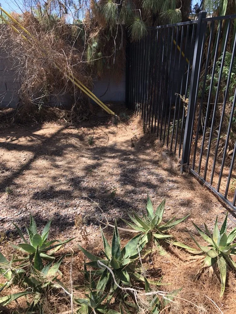 Professional landscape design experts serving El Mirage, AZ - Valley Lawn Services