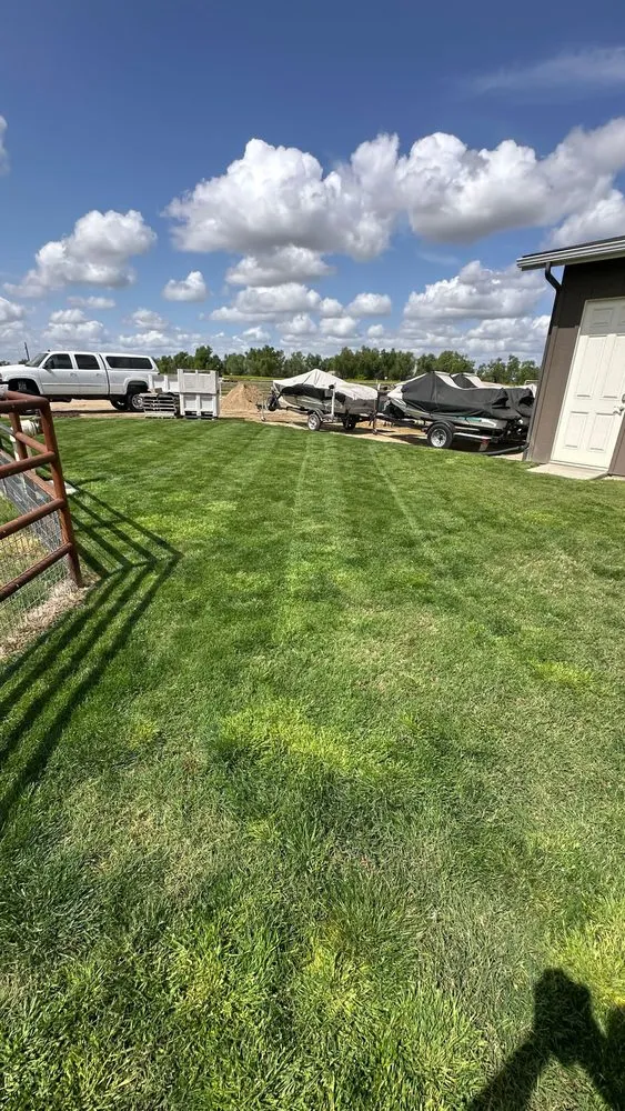 Reliable yard cleanup service near you in Kingsburg, CA by Valley Lawns