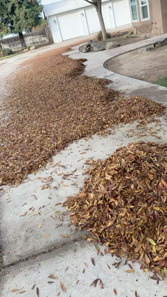 Top-rated landscape installation with custom design across Kingsburg, CA - Valley Lawns