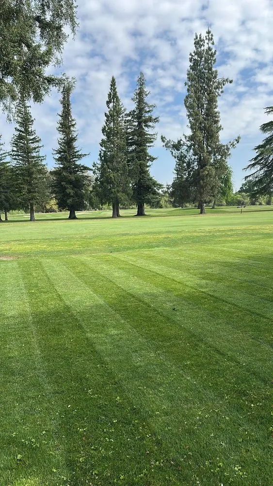 Top-rated yard maintenance near you across Kingsburg, CA - Valley Lawns