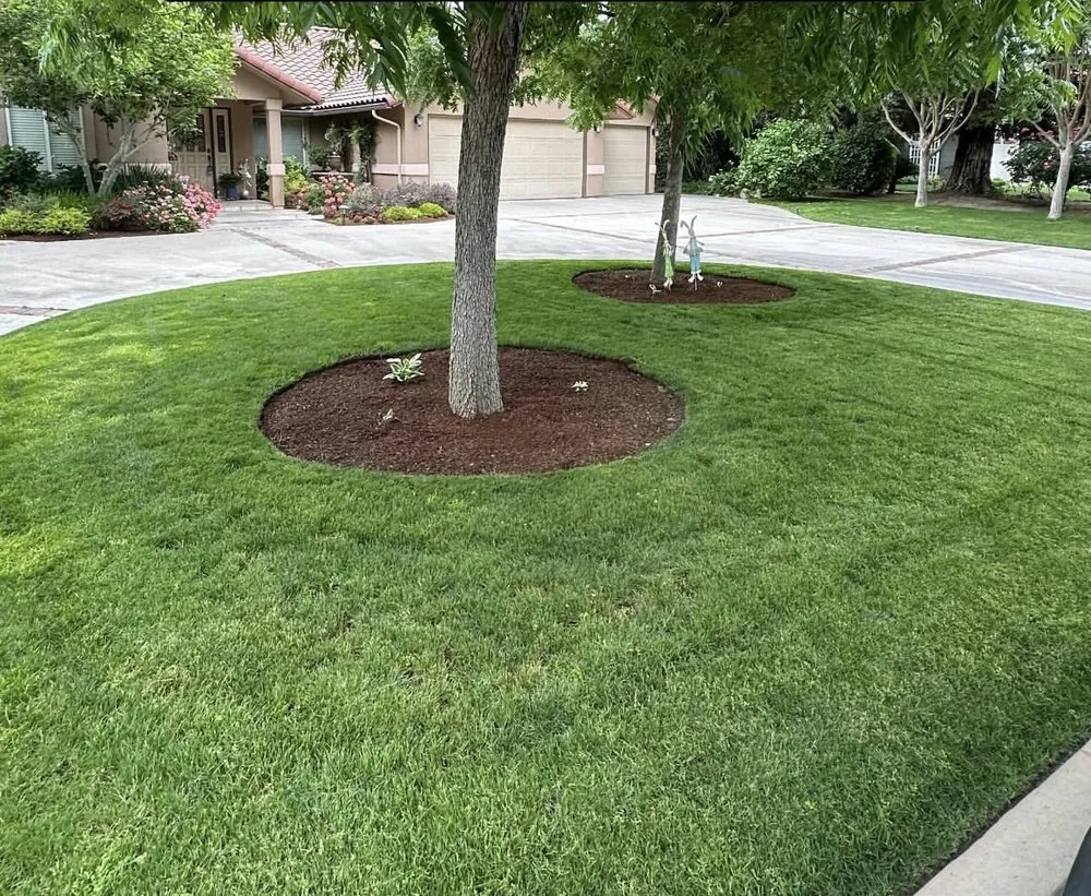 Expert outdoor landscaping in Kingsburg, CA by Valley Lawns