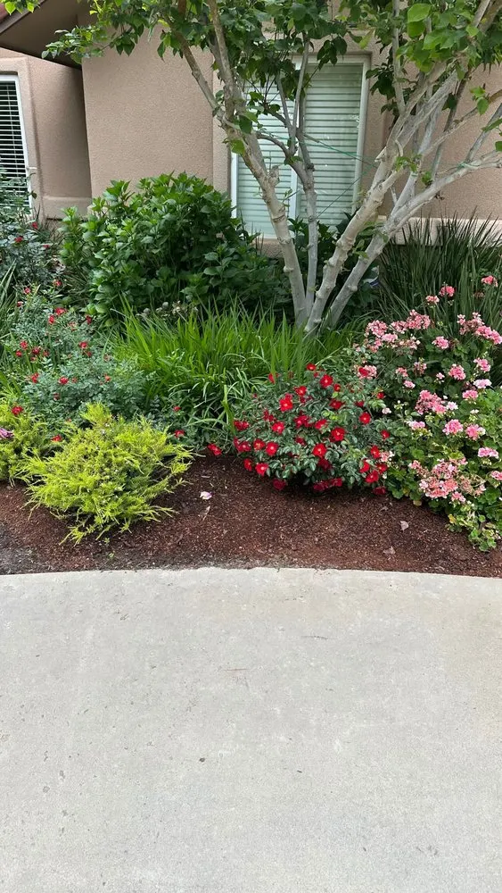 Local landscape installation near you across Kingsburg, CA - Valley Lawns