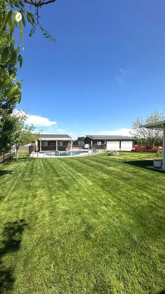 Trusted landscaping services for beautiful yards in Kingsburg, CA by Valley Lawns