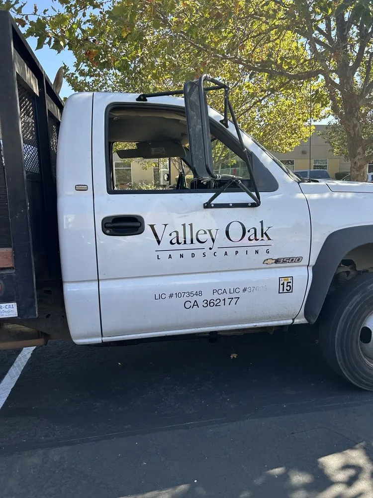 Reliable yard cleanup service in Santa Rosa, CA by Valley Oak Landscaping