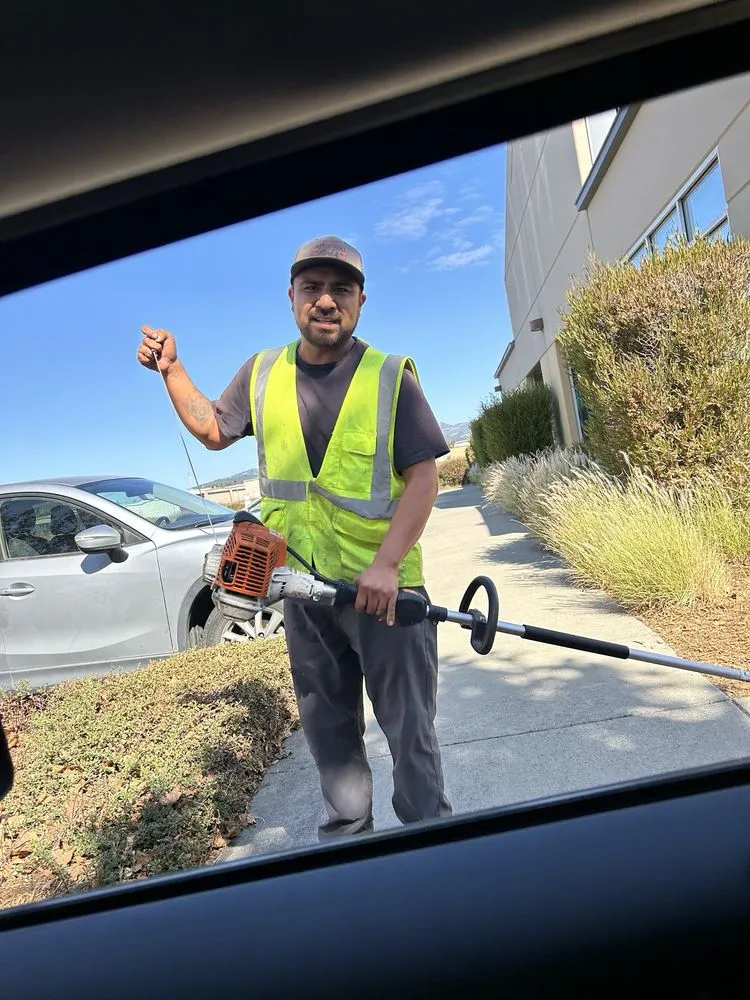 Top-rated landscaping services with custom design in Santa Rosa, CA by Valley Oak Landscaping