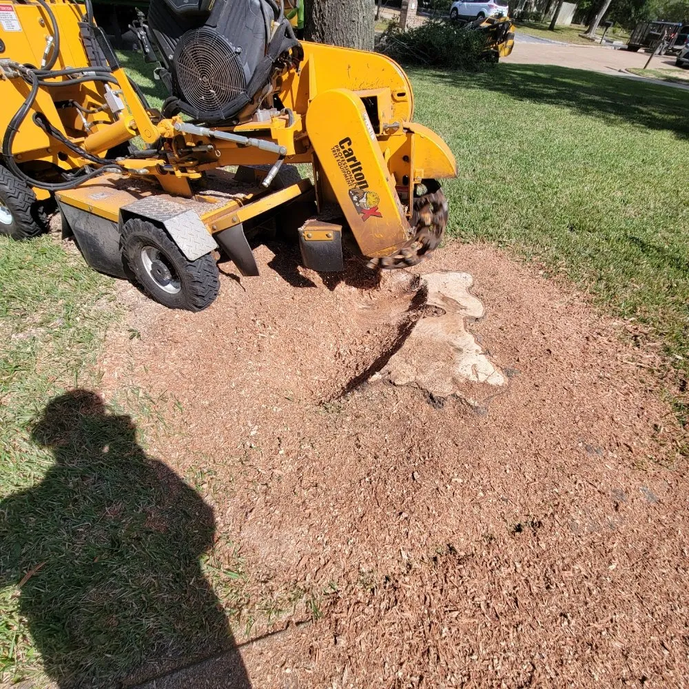 Professional residential landscaping in Houston, TX by Valley Oak Tree Care