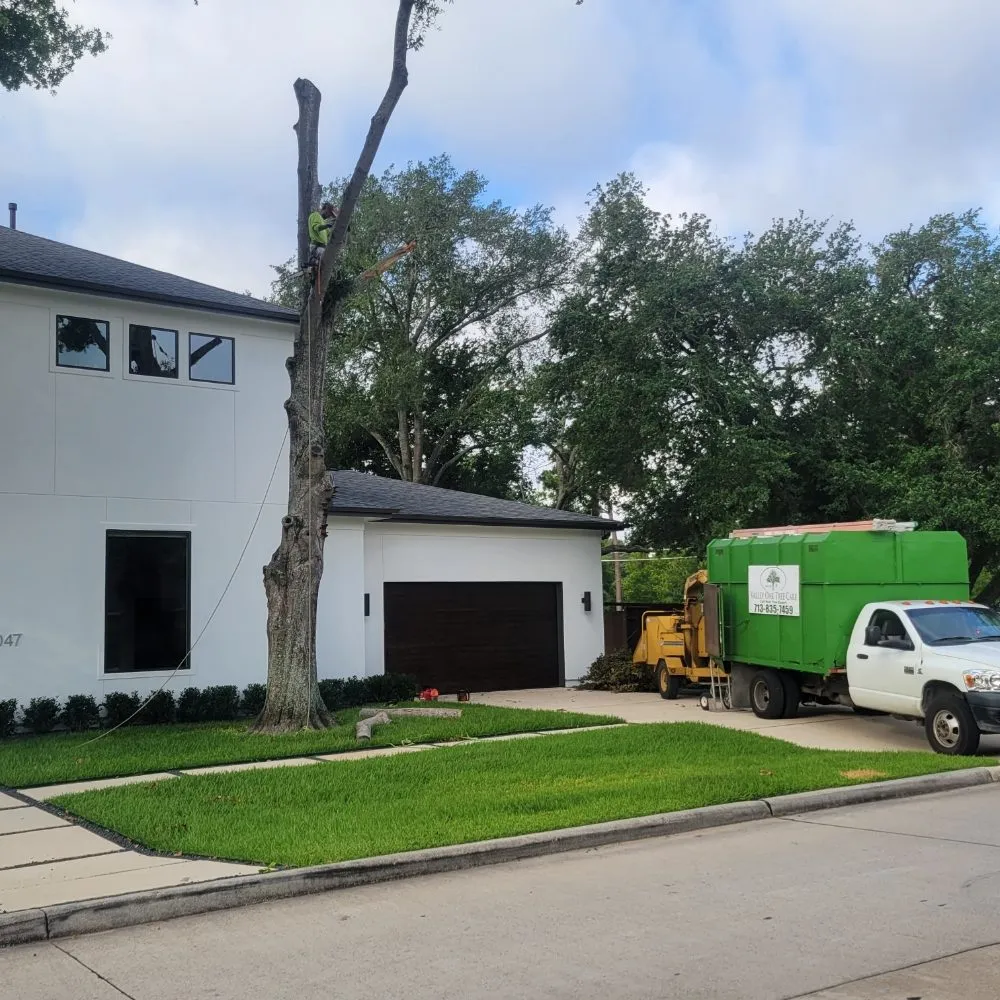 Reliable landscape installation in Houston, TX - Valley Oak Tree Care